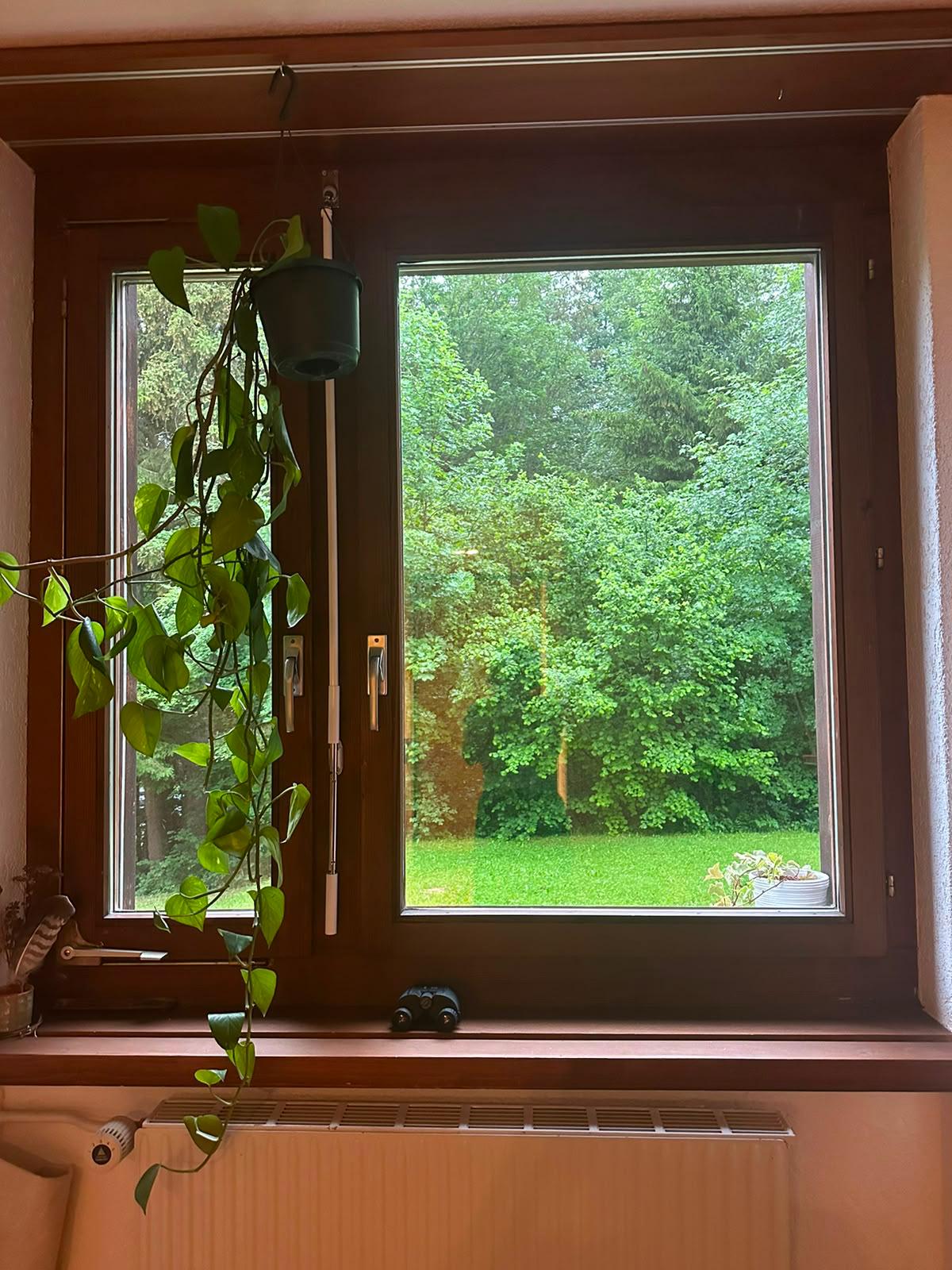 Professionelle Fensterreinigung