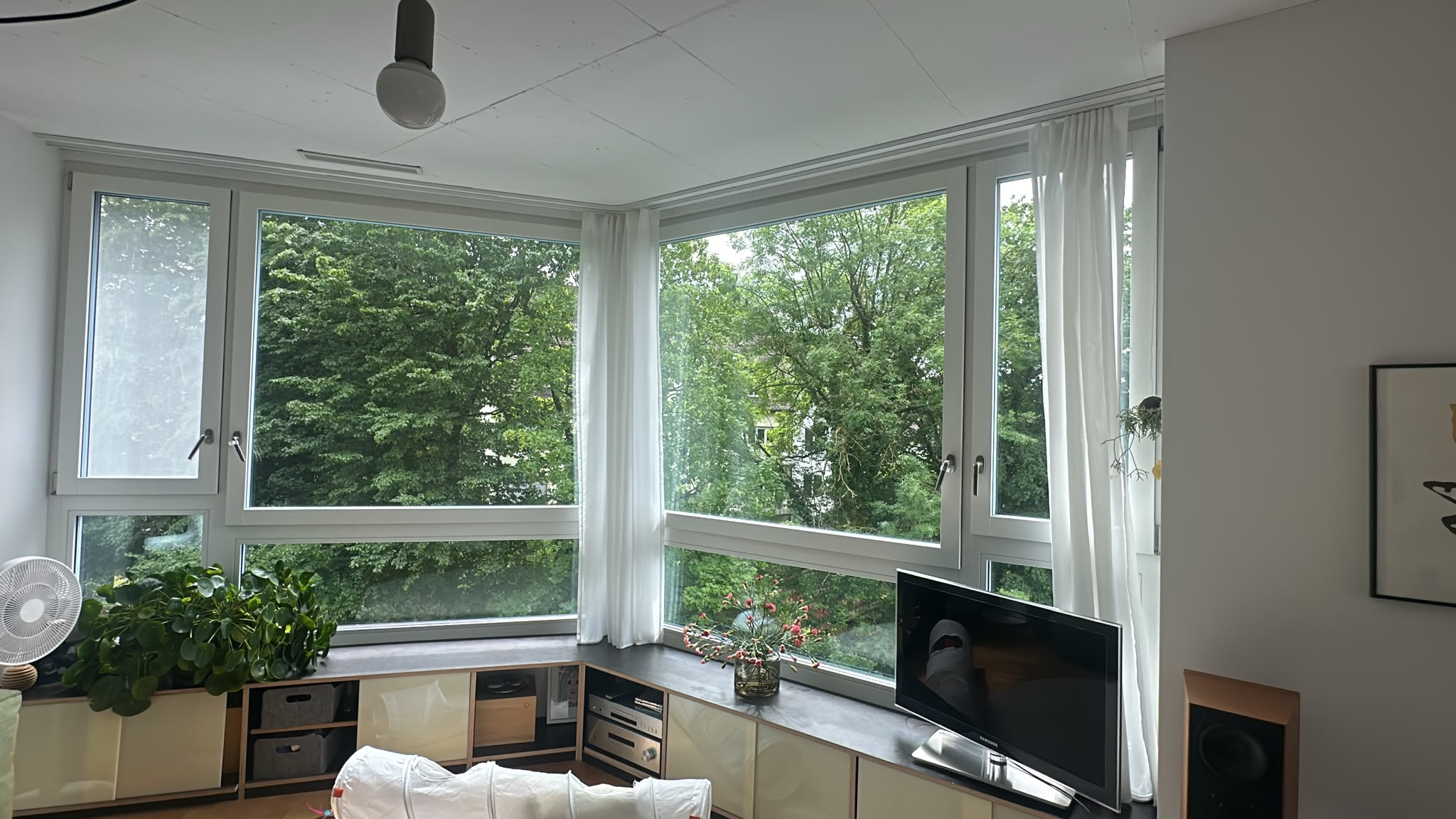 Professionelle Fensterreinigung